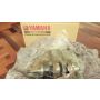 5KE Yamaha TZ250 crankshaft - NEW