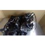 1KT Yamaha TZR250 engine 2MA #20