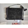 1KT Yamaha TZR250 RC Sugo FIII radiator & temp gauge