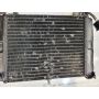1KT Yamaha TZR250 RC Sugo FIII radiator & temp gauge
