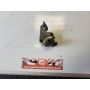 1KT 2MA Yamaha TZR250 fuel tap petrol gas