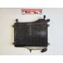 1KT 2MA Yamaha TZR250 radiator rad