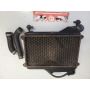1KT Yamaha TZR250 radiator & hoses rad #6