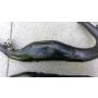 1RK Yamaha TZ250 exhausts S model 1986 #1
