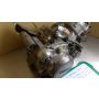 2TV Yamaha SDR200 engine #3