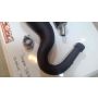 2TV Yamaha SDR200 Ox Racing Ishii exhaust carbon can & flange #3