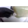 1KT Yamaha TZR250 two stroke oil tank