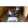 2YK Yamaha TDR250 engine #26