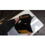 2YK Yamaha TDR250 headlight cowl black #14