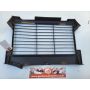 2YK Yamaha TDR250 radiator grill