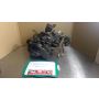 37F Yamaha DT200 engine #5