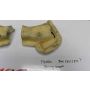 3AK Yamaha TZ250 fairing airbox ducts 3LC 3TC