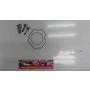 3AK Yamaha TZ250 cylinder head o-rings bolts