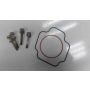 3AK Yamaha TZ250 cylinder head o-rings bolts