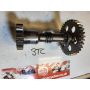 3LC Yamaha TZ250 balance shaft & gear