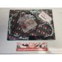 3MA Yamaha TZR250 R reverse cylinder engine gaskets