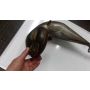 3XP Yamaha DT200 WR exhaust system race chamber #Pro Skill
