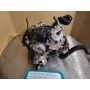 3XV Yamaha TZR250 RS engine dry clutch #101