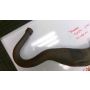3XC Yamaha R1-Z Ox Magic Fire (left hand side) race exhaust