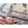 4DP Yamaha TZ250 cylinder base gasket 4DP-11351-00