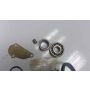 4DP Yamaha TZ250 crankcase bearings case bolts washers plates