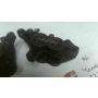4DP Yamaha TZ250 Nissin front brake calipers #6