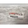 4DP Yamaha TZ250 fork lower leg stanchion 4DP-23110-00 NEW
