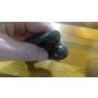 4DP Yamaha TZ250 footrests - pair