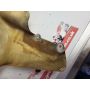 4JT Yamaha TZ125 mudguard front OEM #5