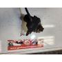 59W Yamaha TZ250 powervalve servo motor