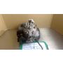 NF4 Honda RS125 race engine 1988 #035
