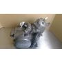 NF4 Honda RS125 race engine 1988 #035