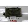 NF5 Honda RS250 radiator & temp gauge