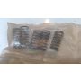 NX4 Honda RS125 clutch springs & caliper bolt 22401-NX4-000