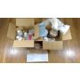 RC45 Honda RVF750 standard road bike paint colour 
