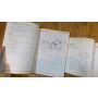 RC45 Honda RVF750 maintenance service owners manual RS3