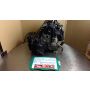 K301 Suzuki RG400 engine #5796