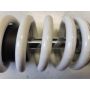 VJ22 Suzuki RGV250 White Power WP shock suspension