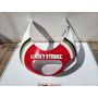 VJ23 Suzuki RGV250 headlight cowl Lucky Strike