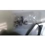 VJ23 Suzuki RGV250 Coerce rearsets hangers pegs levers