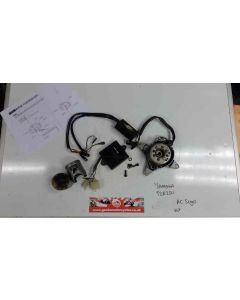 1KT 2MA Yamaha TZR250 RC Sugo F3 race ignition CDI rotor stator powervalve box