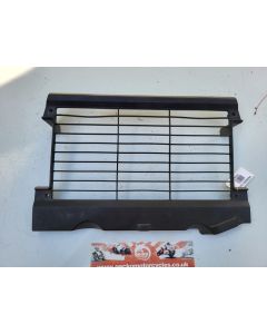 2YK Yamaha TDR250 radiator grill