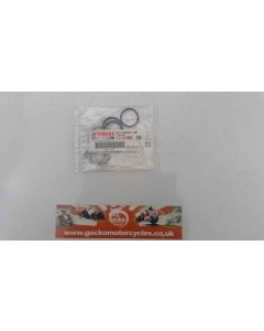 4DP Yamaha TZ250 Nissin rear brake caliper seal kits
