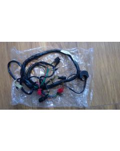 NF5 Honda RS250 wiring loom harness NH3 NSR250-RK
